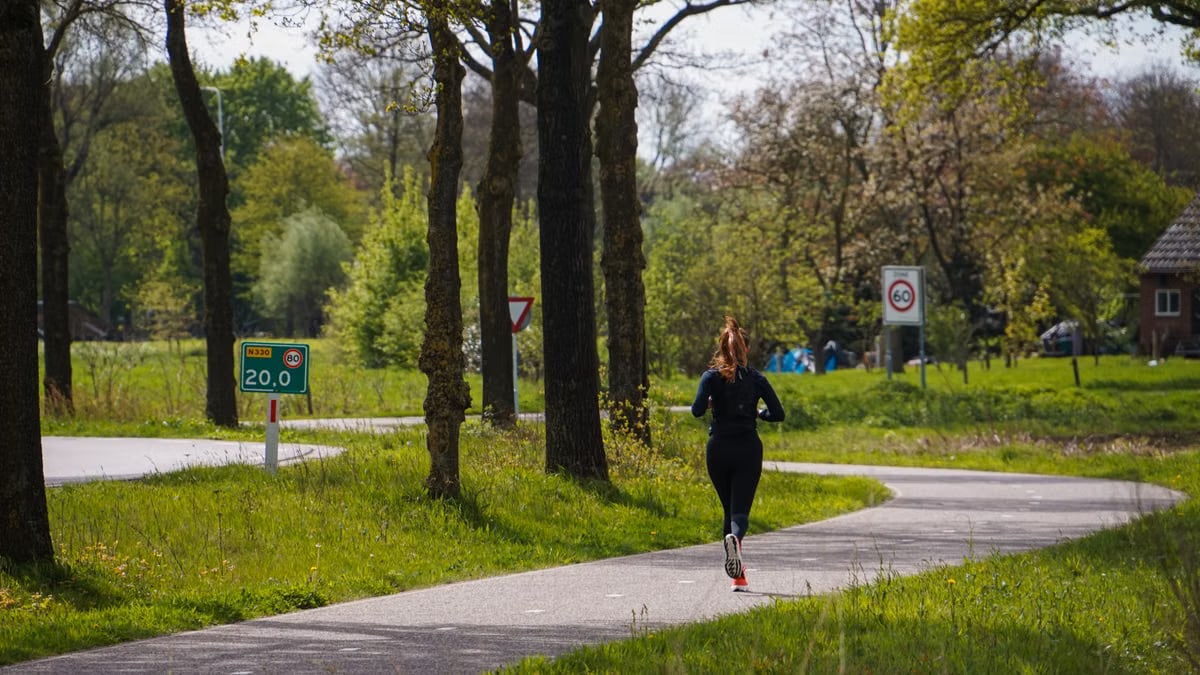 A woman runs along a winding path in a lush, green forest in springtime, enjoying the serene natural setting.